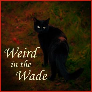 A black cat looks over their shoulder, their pale green eyes glowing. The background is green and red dappled. In the bottom left hand corner it says Weird in the Wade